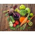 Соковитискач BioChef Axis Compact Cold Press Juicer срібло