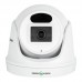 Купольна IP камера GreenVision GV-166-IP-M-DIG30-20 POE 