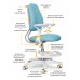 Дитяче крісло Evo-Kids Mio Ergo Blue (арт.Y-507 KBL) 