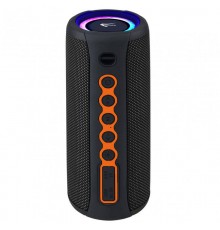 Портативная акустика Aspiring Shake 20 TWS 40W Radio