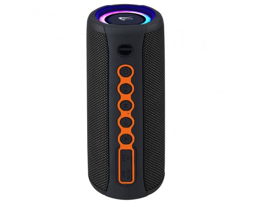 Портативная акустика Aspiring Shake 20 TWS 40W Radio