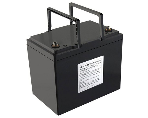 Акумуляторна батарея LiitoKala LiFePO4 12V100Ah 
