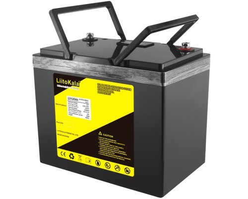 Акумуляторна батарея LiitoKala LiFePO4 12V100Ah, LCD 