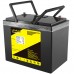 Акумуляторна батарея LiitoKala LiFePO4 12V100Ah, LCD 