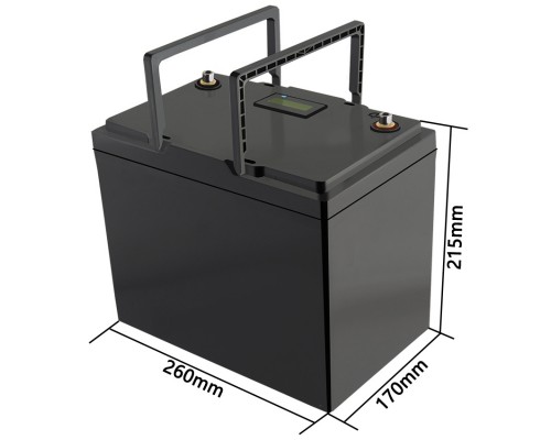 Акумуляторна батарея LiitoKala LiFePO4 12V100Ah, LCD 